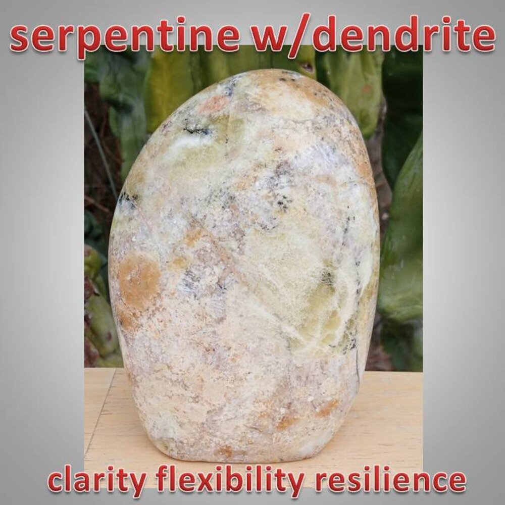 serpentine free form with dendrite 01 clarity focus problem solving CHAKRA